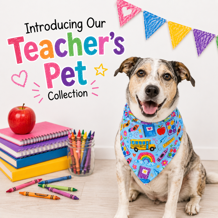 Teacher's Pet