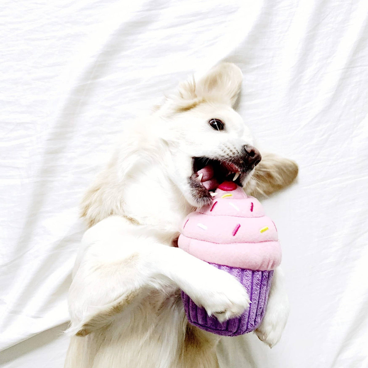 Birthday Cupcake - Pink - Dog Toy