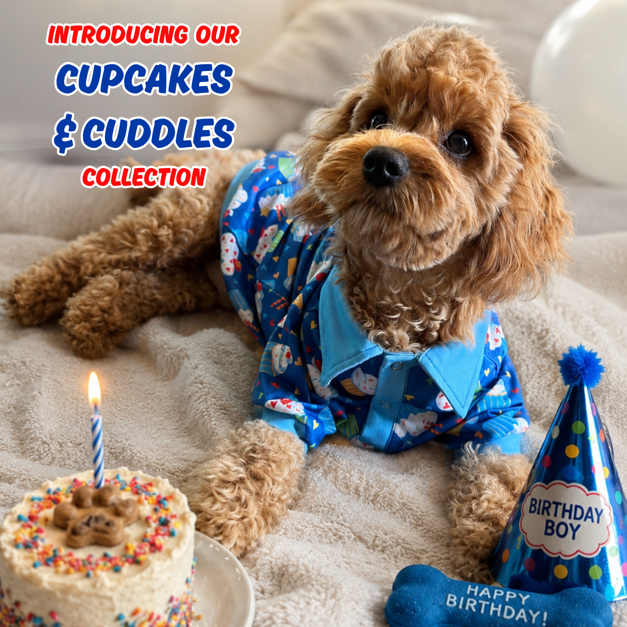 Dog Collar Shirt — Cupcakes & Cuddles Birthday Print, Medium