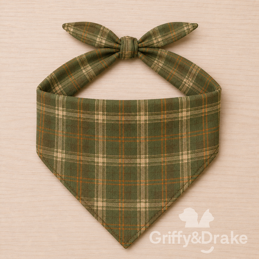 Dog Bandana — Fall Forest Friends - Plaid | Large