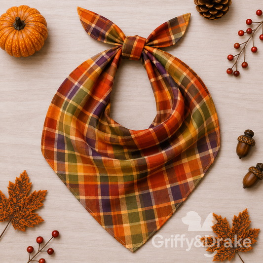 Dog Bandana — Feast Mode - Plaid | Small