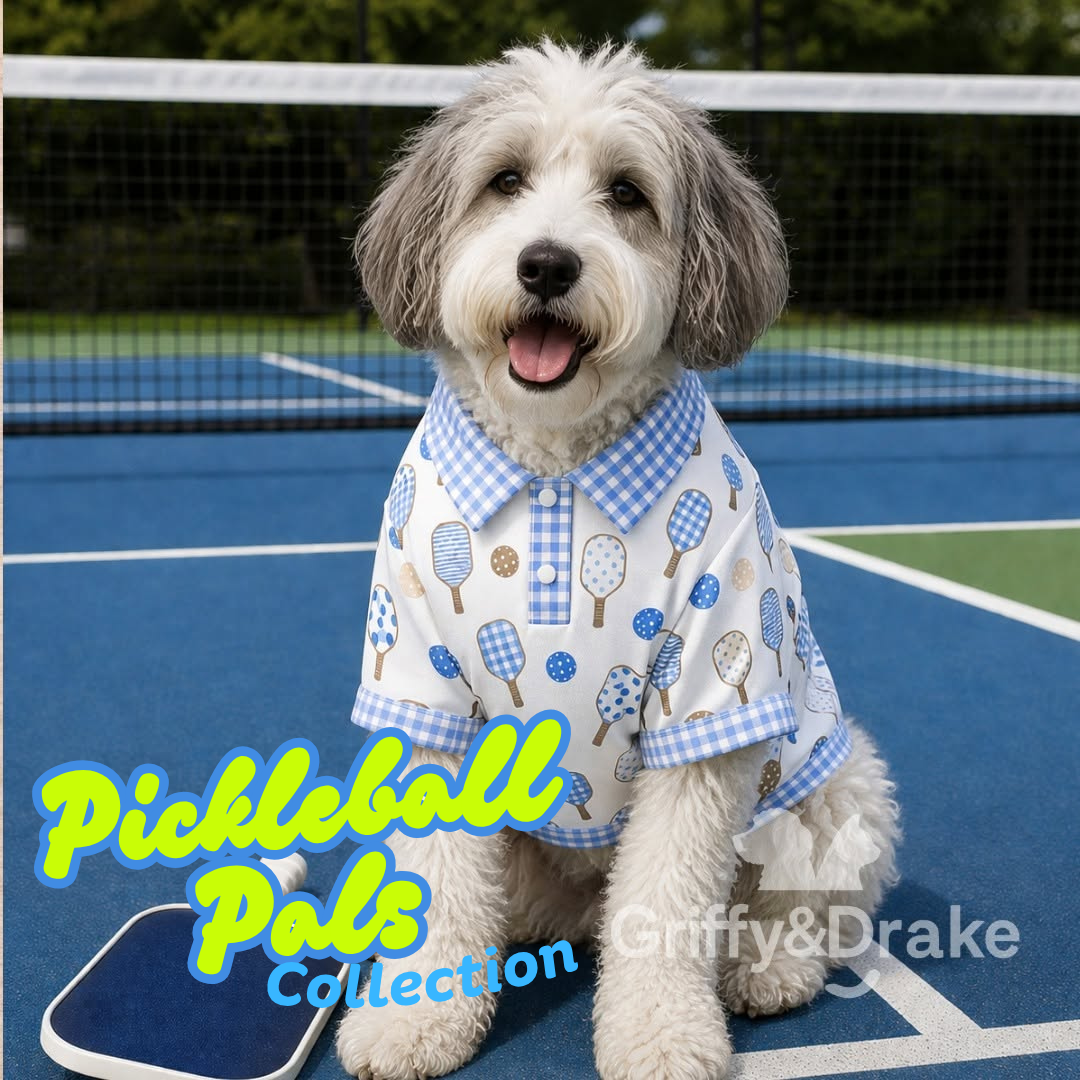 Dog Bow Tie — Pickleball Pals Gingham Print, Small