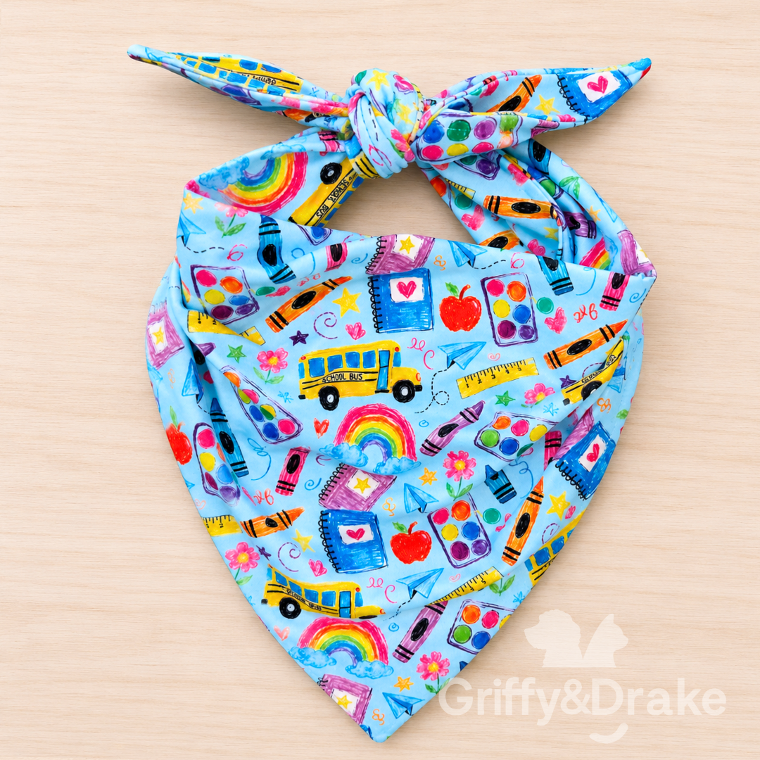 Dog Bandana — Teacher's Pet Print, Large